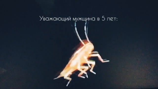 куми куми хаба хаба шака лака смотреть онлайн