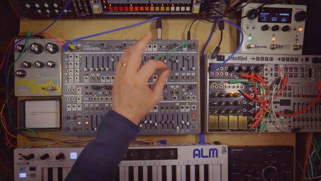 Intellijel Cascadia Synth Demo смотреть онлайн