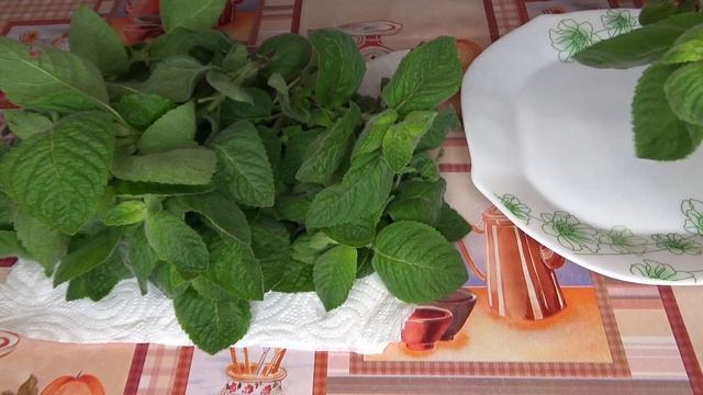 Заготовки на Зиму / Как Заморозить Свежую Мяту / Заморозка Мяты смотреть онлайн