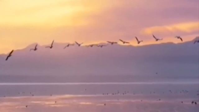 Медитация "Возвращение энергии" смотреть онлайн