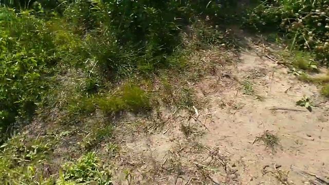 Озеро в Польше смотреть онлайн