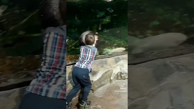 Остров Русский