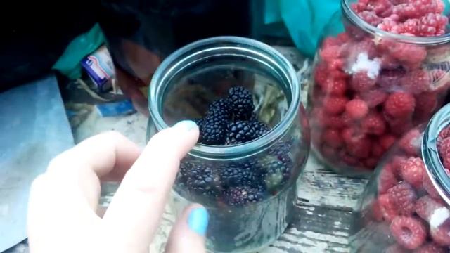 Зарабатываю как могу. Самая ранняя Ежевика! Новости нашего двора! смотреть онлайн