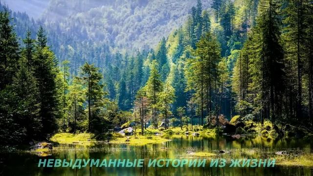 ?ТУДА ГДЕ РОДИЛСЯ?Истории из жизни?Аудио рассказ?Жизненные истории смотреть онлайн