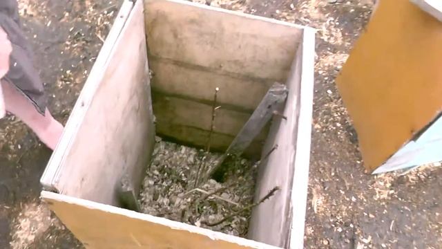 ОТКРЫЛИ РОЗЫ ПОСЛЕ ЗИМОВКИ смотреть онлайн