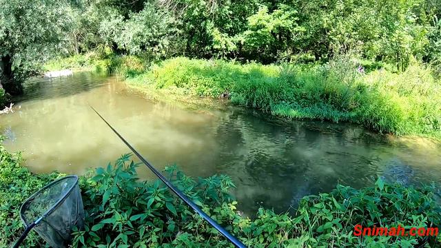 Риболов на река Въртешница край село Власатица смотреть онлайн