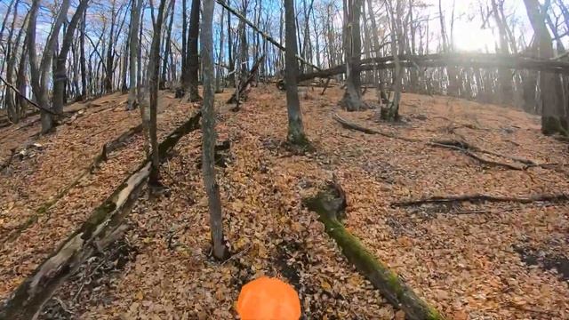 Новый Оскол 24.10 смотреть онлайн