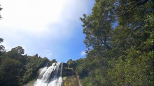 ТЕСТ ШОК! ЧТО С ВАШЕЙ ЖИЗНЬЮ Психология Светлана ВЕДА