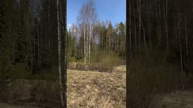 Земля на реке Кубена смотреть онлайн