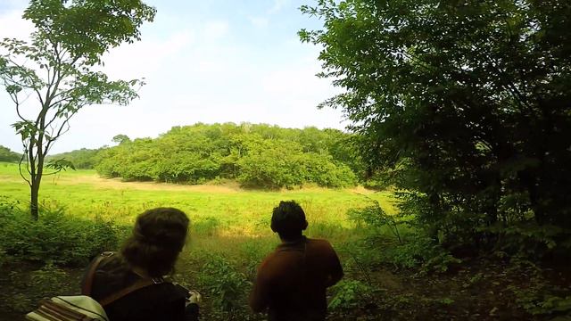 Бразилия. Джунгли Амазонки 2016. смотреть онлайн