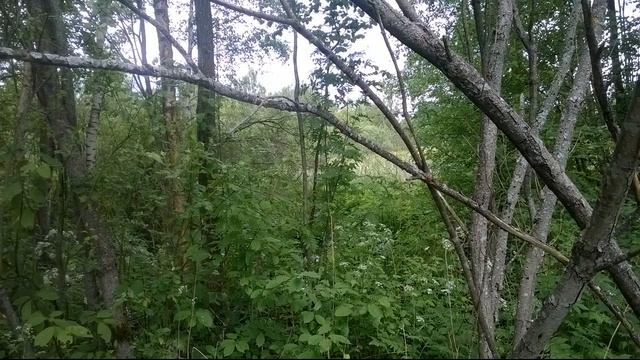 ПУЛКОВО АЭРОПОРТ- ВСЕВОЛОЖСК смотреть онлайн