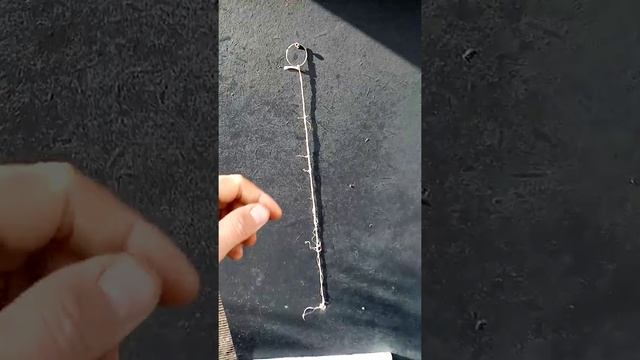 Обзор вольеров (выгулов) для кур брама. Разведение породной птицы.Yard for chickens to Bram (3/24) смотреть онлайн