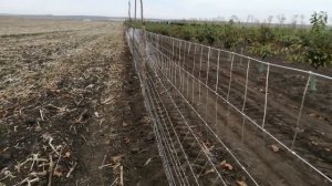 Забор из шарнирной сетки. Начало.