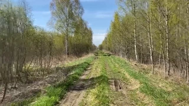 ПЯТЬ ТОПОВЫХ СТРАШИЛОК - Сборник страшных историй на ночь за июнь 2022 смотреть онлайн