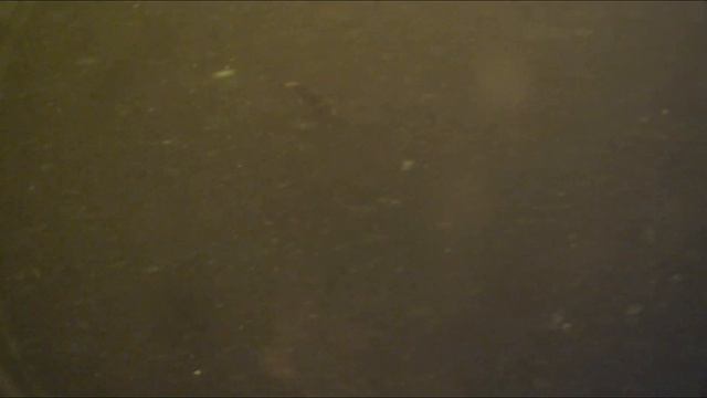 Выход сома под водой и на эхолоте Garmin Striker Plus 4 смотреть онлайн