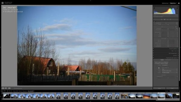 Nikon Z6II. Нужен третий процессор?