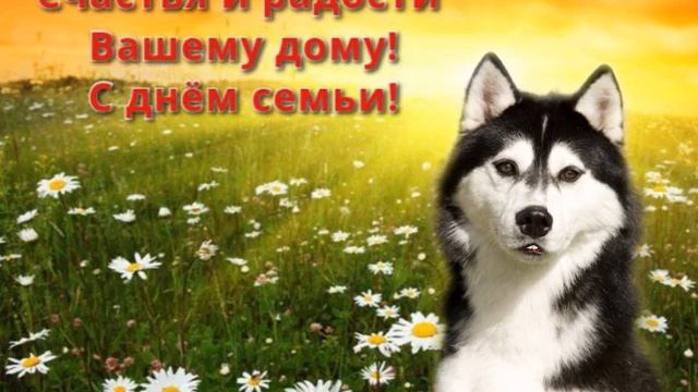 Шуточное поздравление с днём семьи! смотреть онлайн