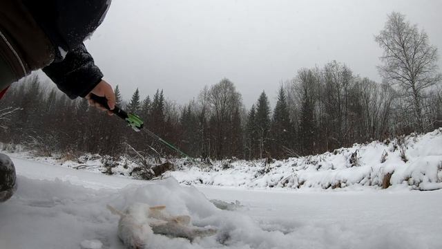 В попытке открыть зимний сезон по хариусу.Зуд не снят. смотреть онлайн