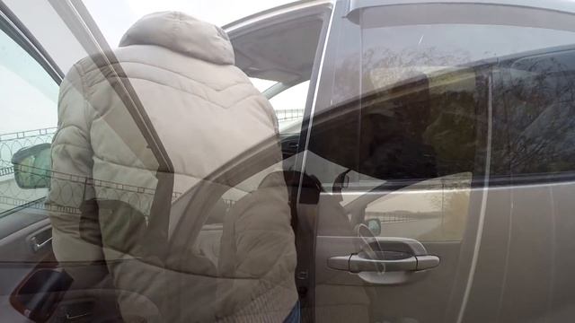 Мои дратхаары- Умбра и Шира. Воспитание и рост щенков. 2015-16 г. смотреть онлайн