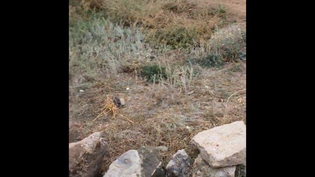 взяли и просто засадили L200 смотреть онлайн