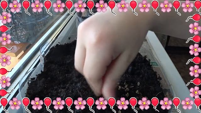 Ремонтный Чемпионат