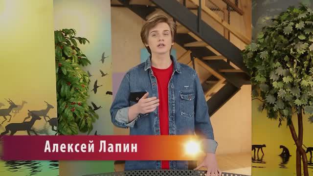 "В МИРЕ ЖИВОТНЫХ" С АЛЕКСЕЕМ ЛАПИНЫМ смотреть онлайн