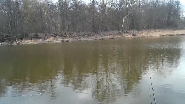 КАРАСЬ НА ПОПЛАВОЧНУЮ УДОЧКУ РАННЕЙ ВЕСНОЙ. Ловим карася на диком озере. смотреть онлайн