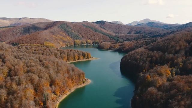 Волчица запретила хоронить этого младенца! Из-за суматохи из гроба послышался плач! смотреть онлайн