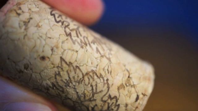 Sony Nex-5N 30mm Macro Lens Unboxing And Samples