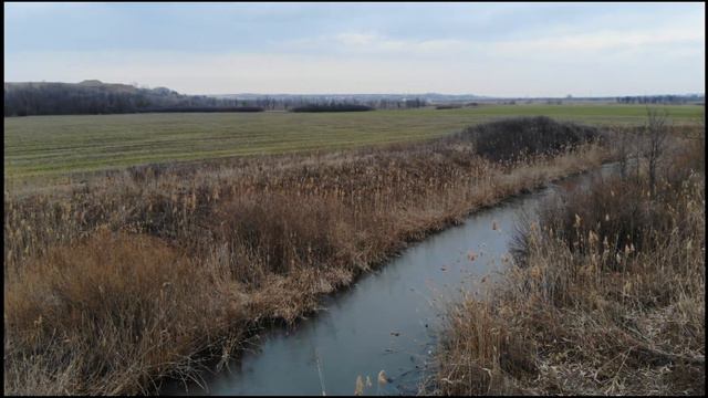 река Грушевская Ростовская область, поездка на шашлыки, 27.03.2021 года смотреть онлайн