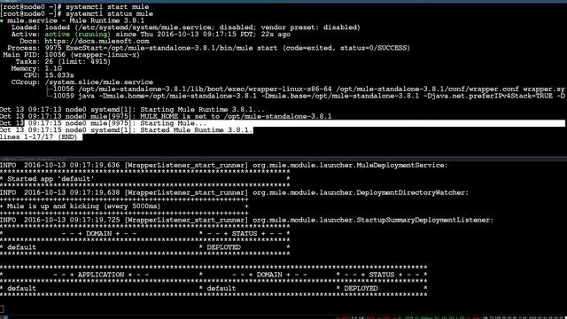 systemd Service for Mule смотреть онлайн