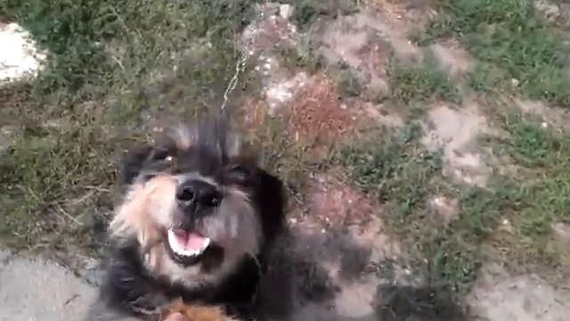 До встречи Янек. смотреть онлайн