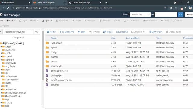 Deploy Nodejs Server on Cpanel Hosting смотреть онлайн