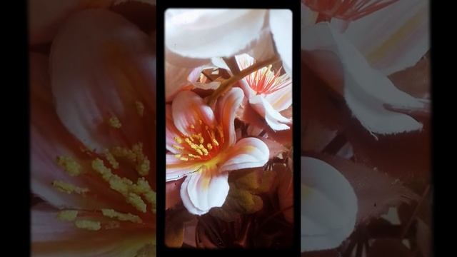 Express Your Feelings And Get Rid Of  Your Stress