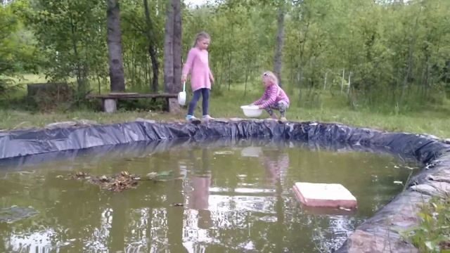 Ловля детьми головастиков для красноухих черепах на даче. смотреть онлайн