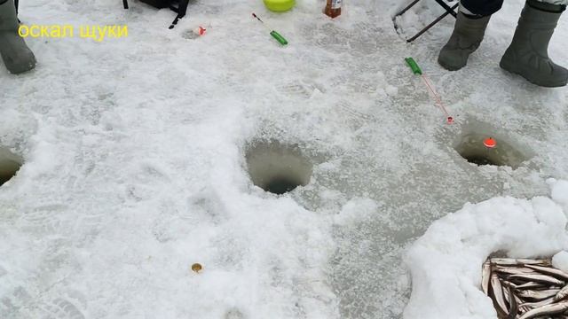 Рыбалка Улов корюшки смотреть онлайн