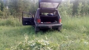 заготовка березовых веников