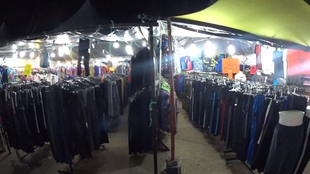 Змеи на пляже Куала Теренггану, Малайзия! День второй. смотреть онлайн