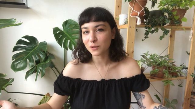 Soru & Cevap #1 | 2021 | Bitkilerle İlgili Sorularınız ve Benim Hakkımda Merak Ettikleriniz смотреть онлайн