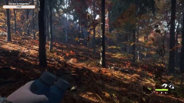 Новый заказник - New England Mountains в TheHunter: Call Of The Wild - Первый взгляд