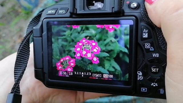 Canon 16-35 смотреть онлайн