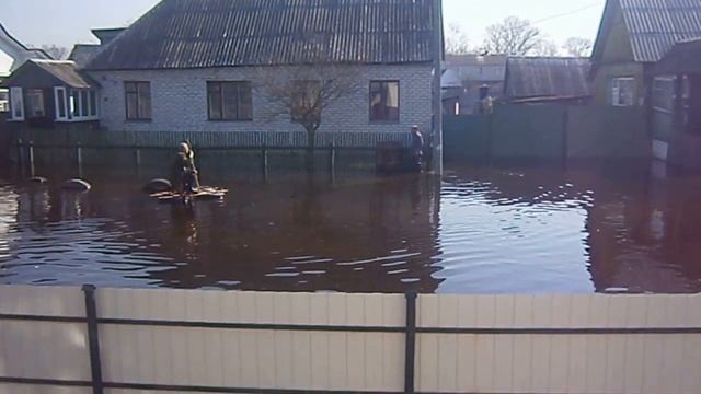 радица-крыловка брянск 2013 смотреть онлайн