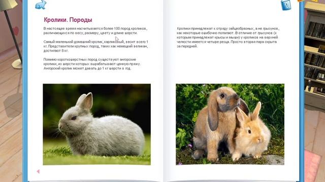 ❁Мои Любимцы❁ Animal Clinic ❁1❁RU/ENG ❁ MAN game ) МУЖИЦАЯ игра ))) смотреть онлайн