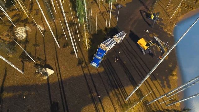 Too Short! Loading With The Volvo! ⛽ DFB #79 ⛽ ✔ Farming Simulator 2019 ✔ FDR Logging смотреть онлайн