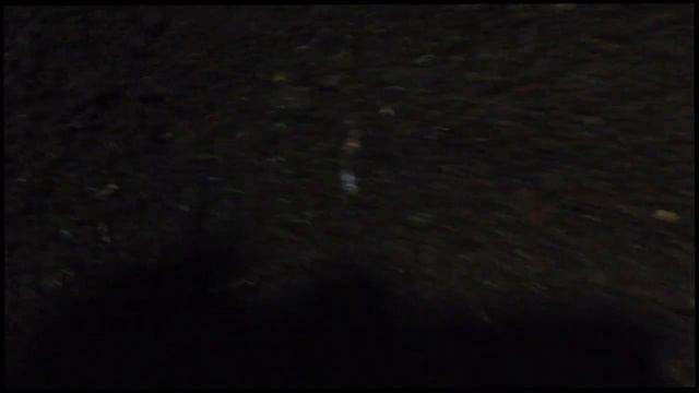 Дендробена. Переселение маточника. смотреть онлайн