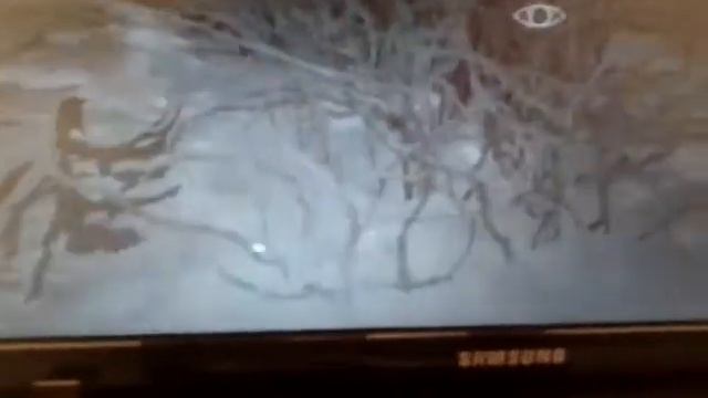 Нычка в скайриме смотреть онлайн