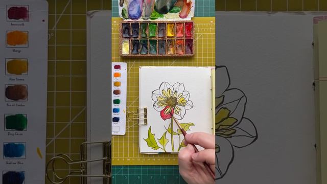 🌸 Wheel Dahlia watercolor painting with Viviva Colors | 🎨 #timelapsepainting #watercolorflower 🌸 смотреть онлайн