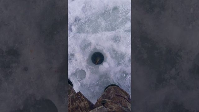 Прикипела ко мне смотреть онлайн