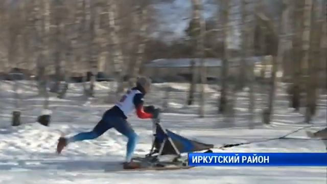 Гонки на упряжках смотреть онлайн