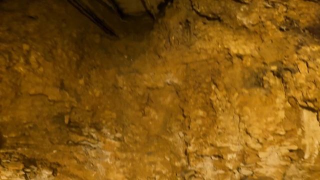 Digging A Secret Tunnel( Phase 2 HAS BEGUN) смотреть онлайн